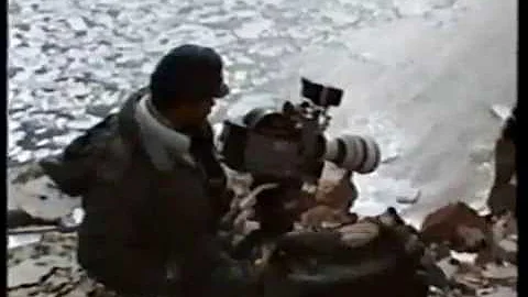 Como são feitas as filmagens do Animal Planet?