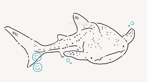 Proyecto modular e integrador informática II 🤞🏻