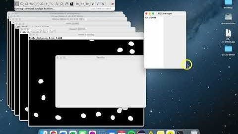 ImageJ/Fiji - Segmentation Part 5: Identifying Objects