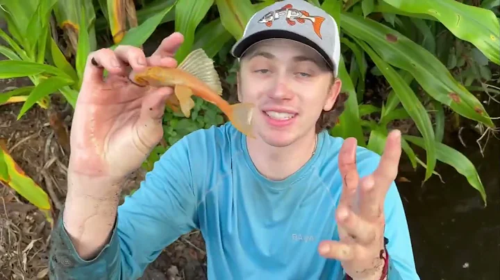 Bass fishing Productions! I Caught Axolotls in a Primitive Fish Trap!