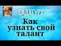 Садхгуру - Как узнать свой талант