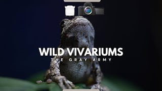 Feeding My Gray Tree Frogs in 4K120FPS! | Sony ZV-E1 Test