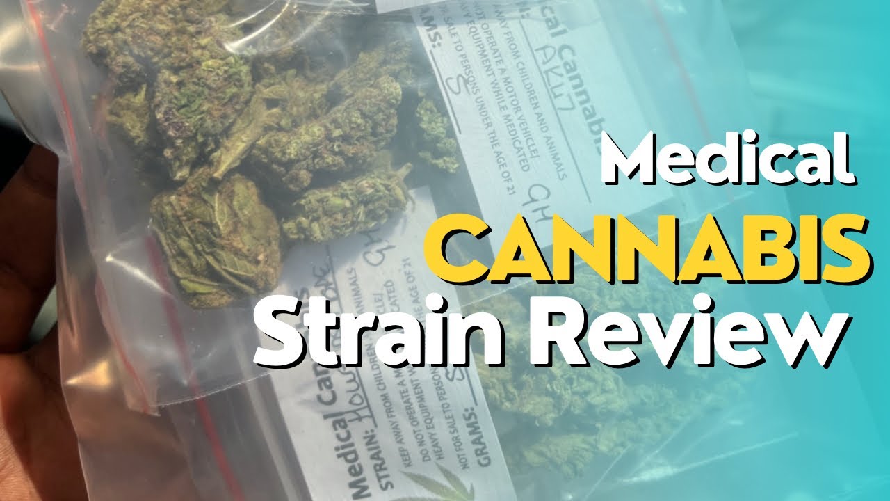 Exploring Cannabis Strains: Trainwreck, Sour Diesel, AK47, Candy Kush & More | Bag Seed Adventure!