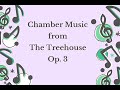 Capture de la vidéo Student Chamber Music Recital "Chamber Music From The Treehouse" 04.20.24
