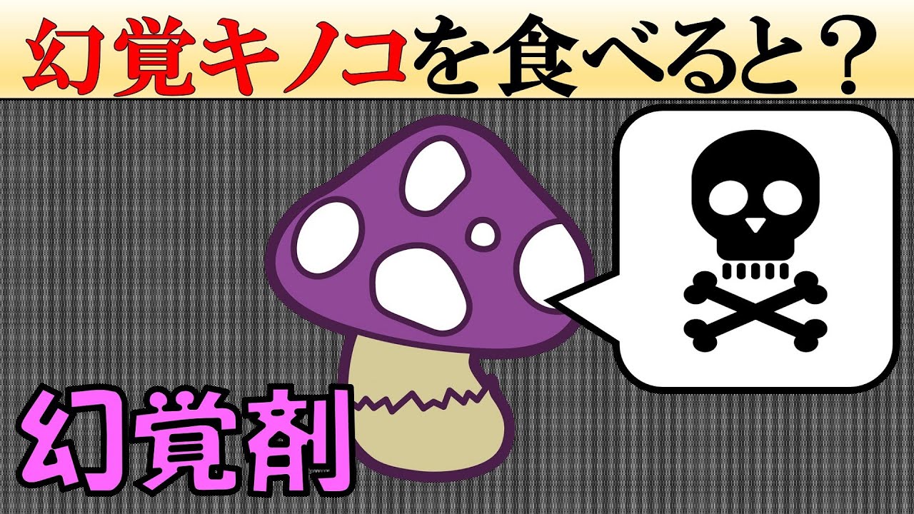 科学 マジックマ シュルームを摂取するとどうなる Youtube