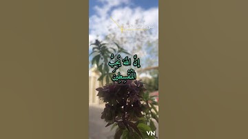 سورة المائده الايه 42-43