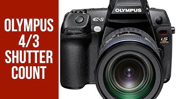 How to get your Olympus four thirds shutter count.