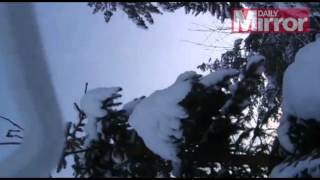 Golden Eagle vs drone: Incredible clip shows bird of prey attack flying machine at 200MPH