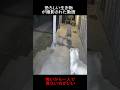 恐ろしい生き物が撮影された動画 #隠れ鬼 #horror #おばけ #怪現象 #恐怖 #ミステリーハンター #ホラー #paranormal #ghost