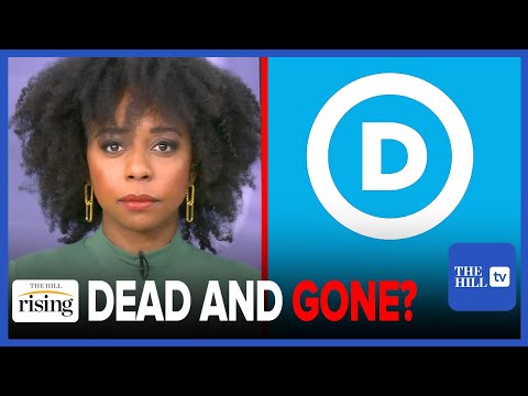 Briahna Joy Gray: The Democratic Party Is DEAD