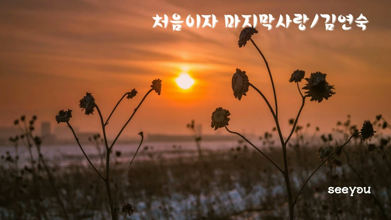 처음이자 마지막 사랑/김연숙