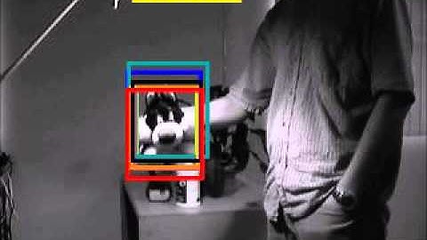 Robust Long Term Template Tracking - Sylvester