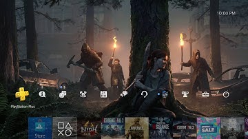 Last of Us 2 Duality Dynamic Theme PS4 (Day & Night)