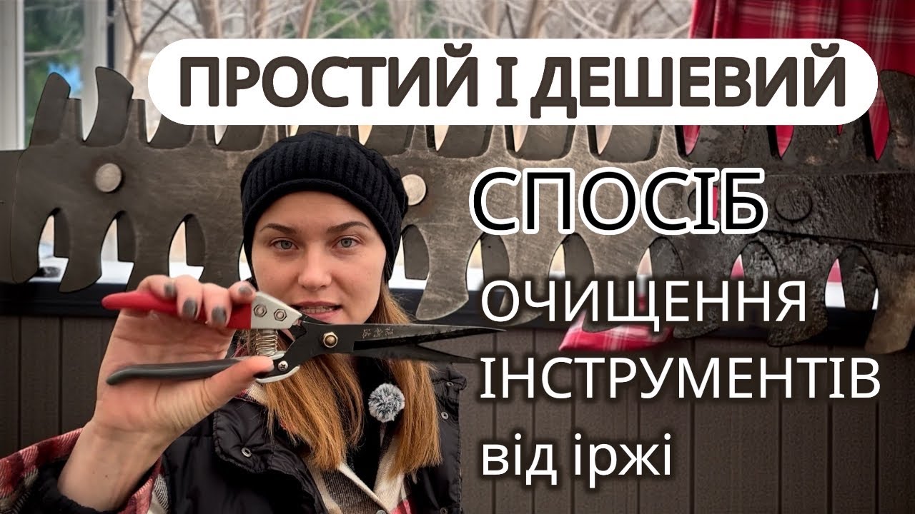 ПРОСТО І ДЕШЕВО ОЧИСТИТИ ІНСТРУМЕНТ ВІД ІРЖІ✂️ #garden #реаліїсадівництва #gardening 