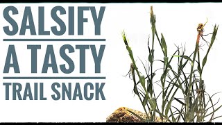 Identify and Eat Salsify