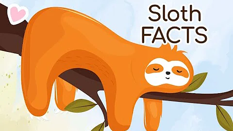 15 Fun Facts on Sloths 🦥
