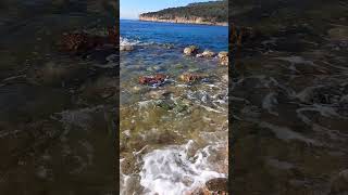 Χαλικιά Πύργου Διρού Λακωνίας