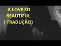 Roy Orbison - A Love so Beautiful ( TRADUÇÃO)