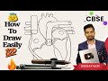 How to draw human heart with compass step by step for beginners 