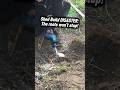 Shed Build DISASTER: The roots won’t stop #dadlife #building #bluecollar #landscaping #diy