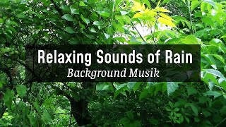 Relaxing Sounds of Rain, Nature Sounds for Sleep ? Background Music