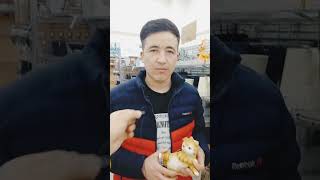 #yaponiyaborish #tiktok #live #love #mb #uzb #uzmovi