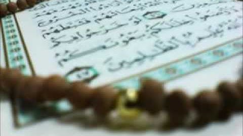 سورة الكوثر برواية البزي عن ابن كثير   محمد العبدالله