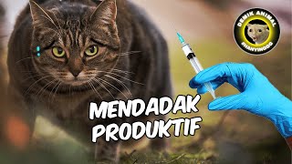 PENYEBAB PRODUKTIF