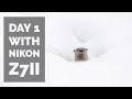 A Great First Day With The Nikon Z7ii - Wildlife Photography