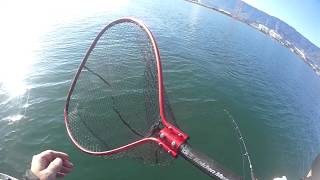 201712103ジェットスキー釣り伊万里①