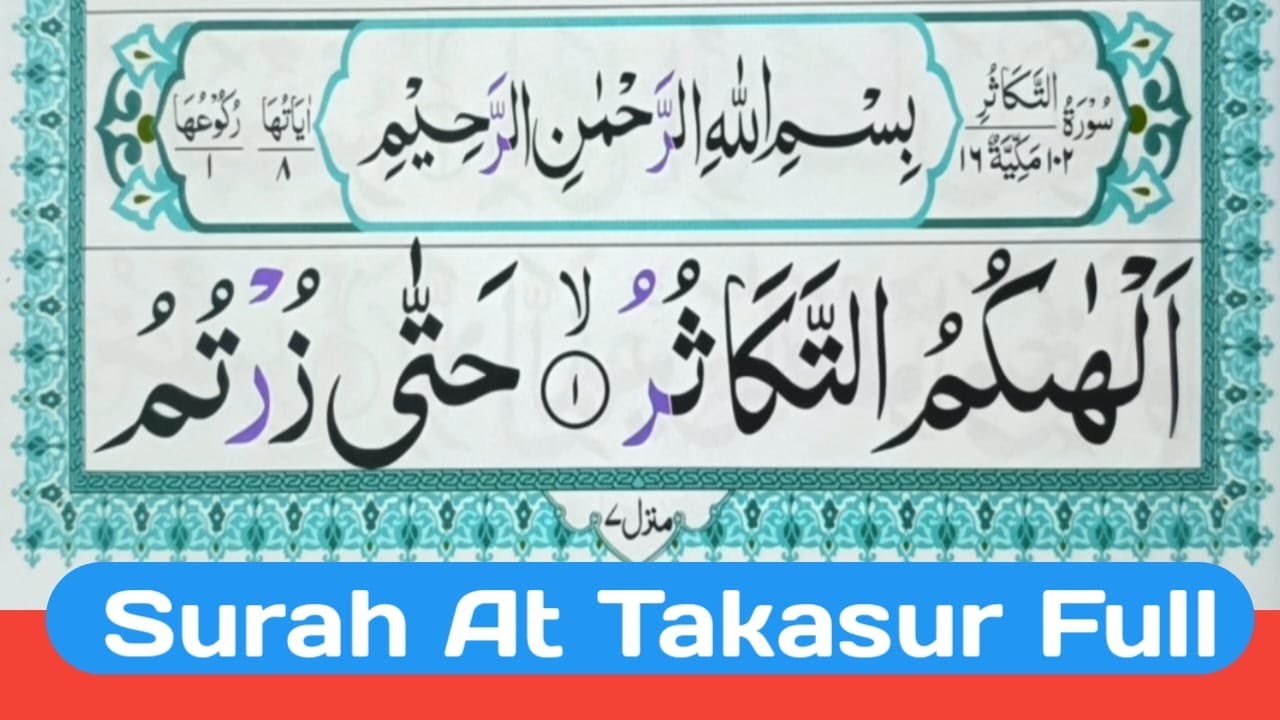 Xom mushuk porno bolgan kontur