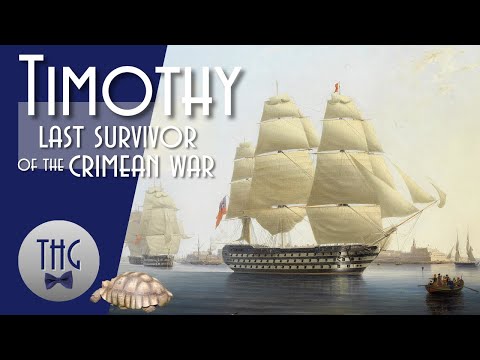 Through the Eyes of Timothy, The last survivor of the Crimean War