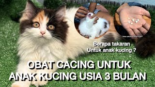 Kasih obat cacing untuk 11 ekor anak kucing, takaran obat cacing untuk anak kucing usia 3 bulan