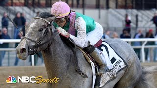 Wood Memorial 2019 (FULL RACE) | Road to the Kentucky Derby | NBC Sports
