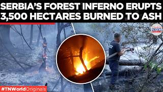 EUROPE BURNS: Serbia Wildfire Scorches 3,500 Hectares As Deliblato Sands Goes Up In Flames