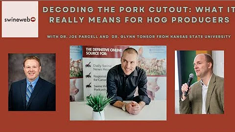 Decoding the Pork Cutout: What It Really Means for Hog Producers