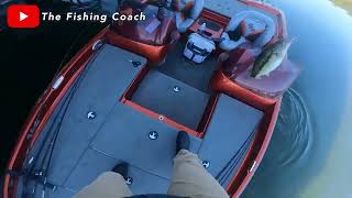 Cracking The Code: Finally Finding Winter Bass!
