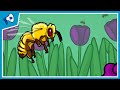 Evolution of Cooperation Quiz