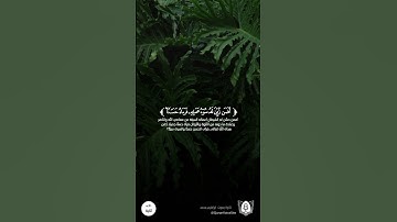 #تلاوة من #سورة_فاطر بصوت #ابراهيم_محمد #قران #قرآن_كريم #آيات #استغفرالله #الحمدلله #quran