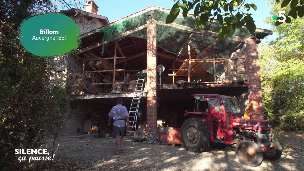 Portrait : l ail noir - Silence, ça pousse !