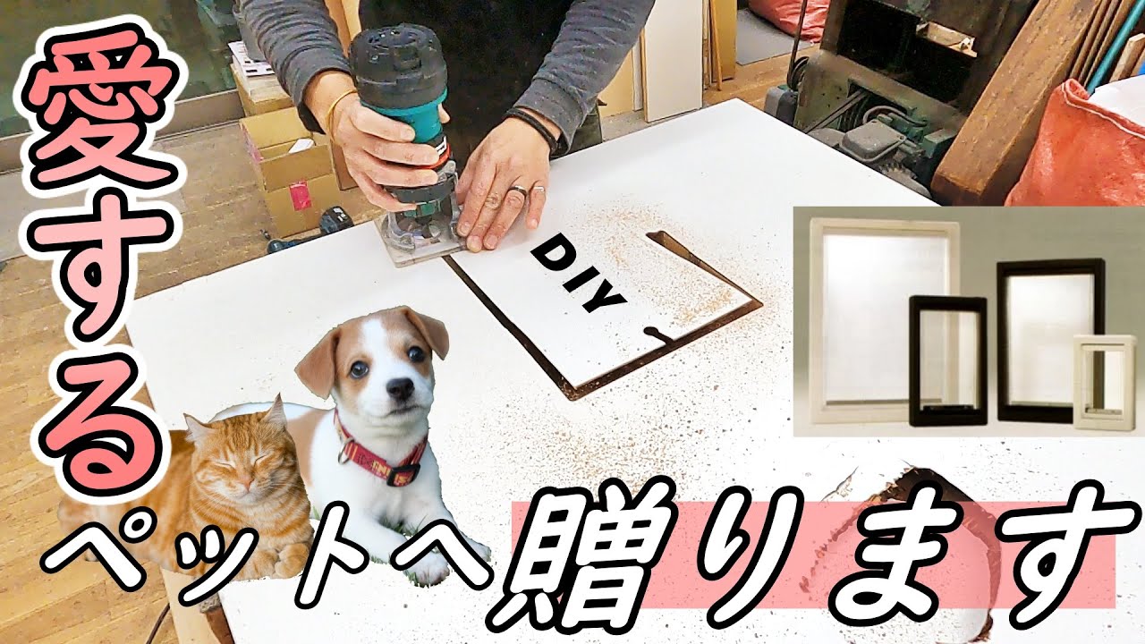DIY] Pet Kuguru installation instructions! A must-see for dog and