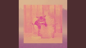 Pulsating Backdrops for Home Cats