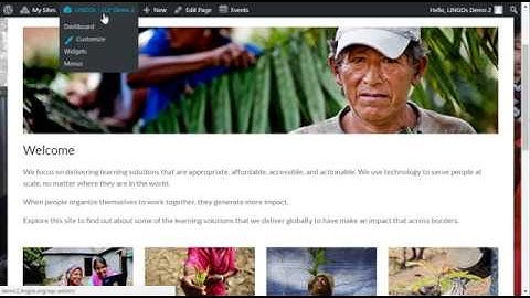 LLP How to align and customize text in a widget