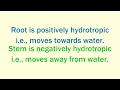 Difference Between Root And Stem Difference Between Root And Stem