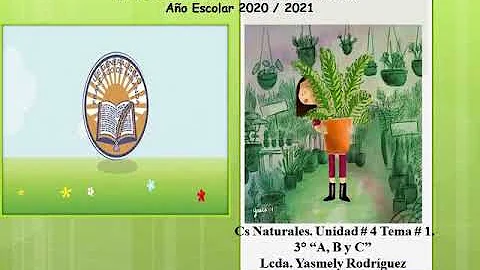 ¿Cuál es la diferencia entre las plantas vasculares con semilla y sin semilla?