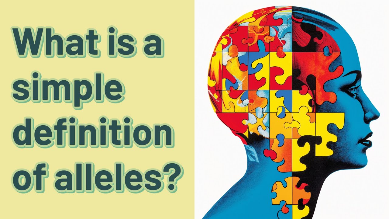 What Is A Simple Definition Of Alleles YouTube