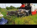 Nice Action Rice Harvesting Machinery Working Skills Rice Cutting Machinery Operation