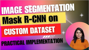 Mask R-CNN on Custom Dataset | Practical Implementation