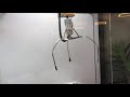 Mega Party Machine - This is AMAZING!