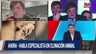 🐶 Milei clonó a su perro y abrió el debate: ¿Cuánto sabemos sobre la clonación?